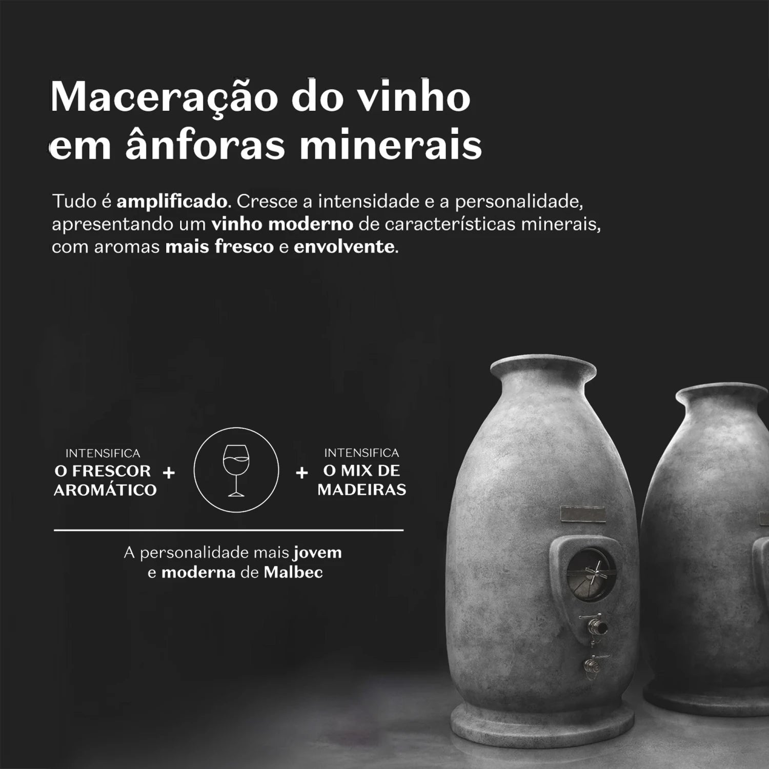 Malbec Icon Deodorant Cologne 100ml