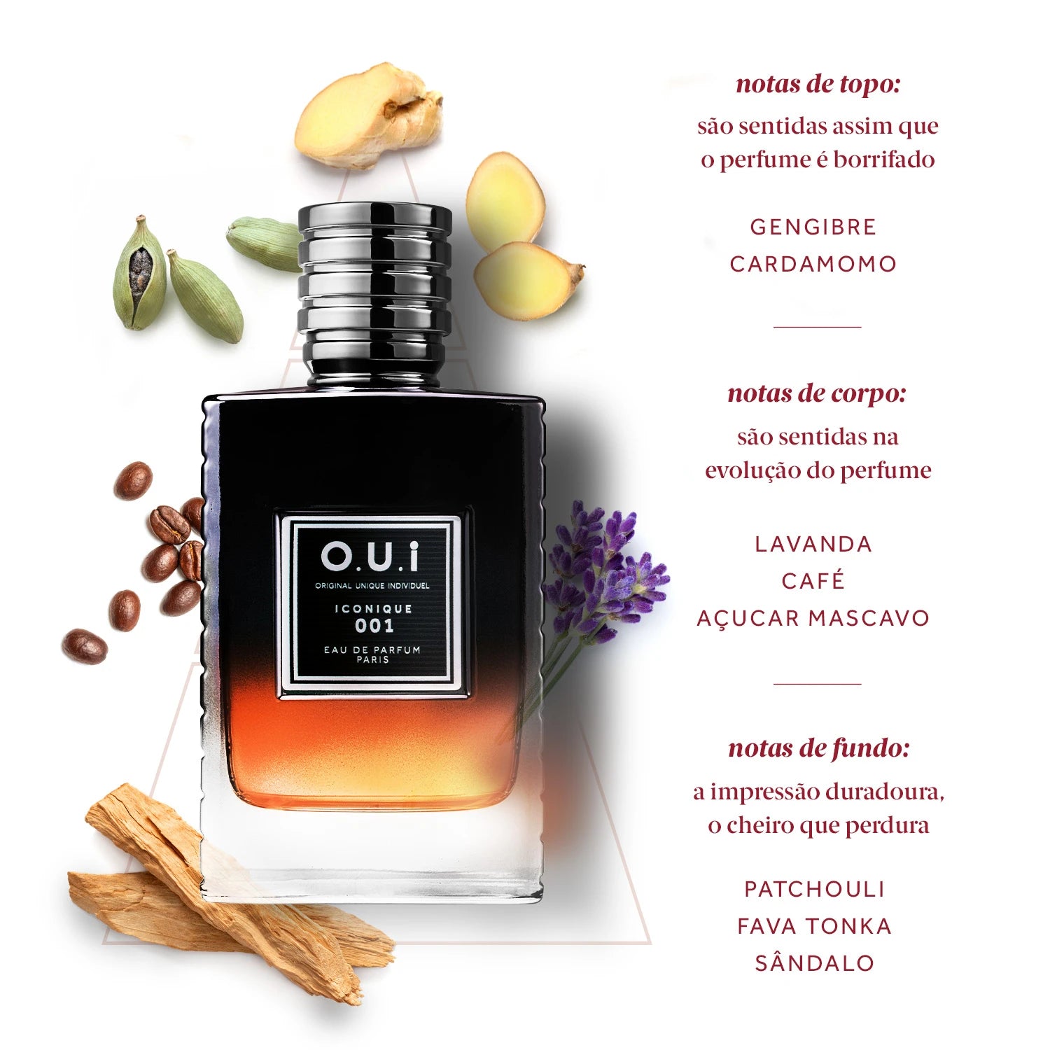O.U.i Iconique 001 Eau de Parfum Masculino 75ml
