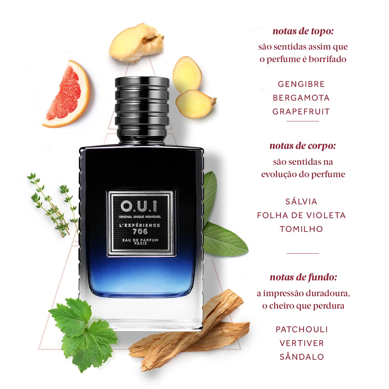 O.U.i L'Expérience 706 Eau de Parfum Masculino 75ml